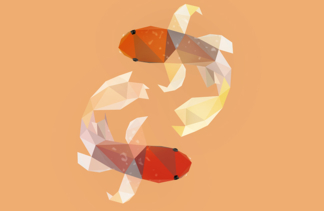 Koi.