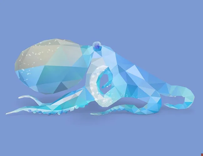 Caribbean reef octopus