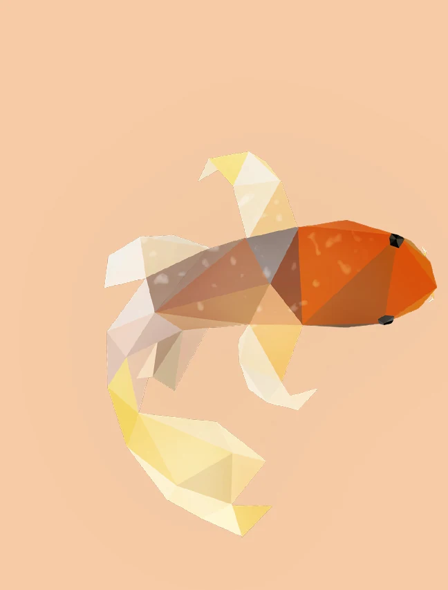 Koi — original project detail 1