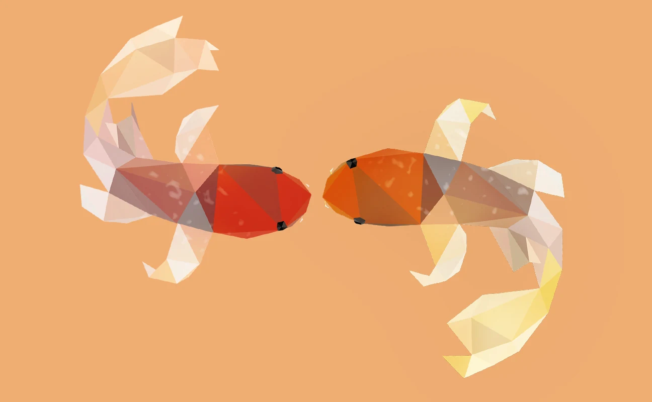 Koi — original project detail 3