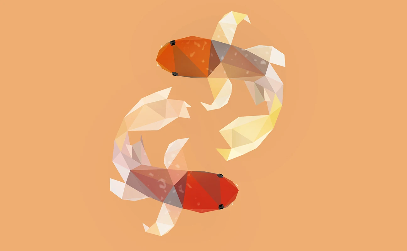 Koi