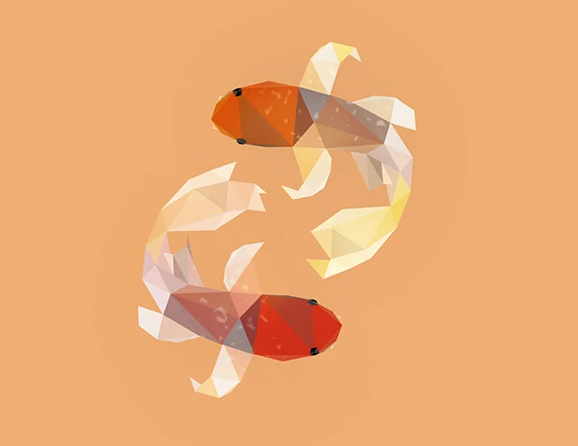 Koi
